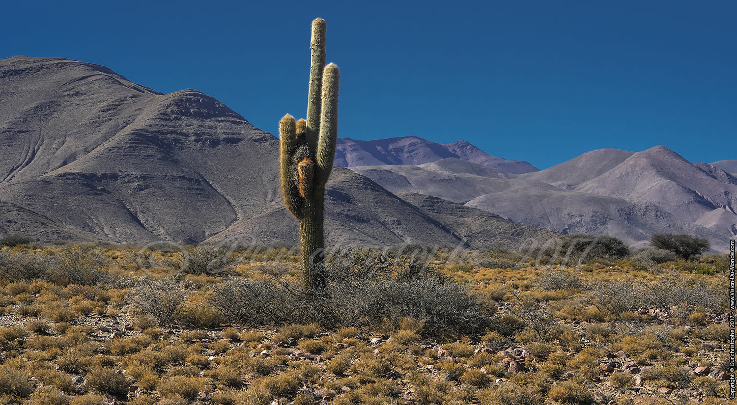 Quebrada de Humahuaca