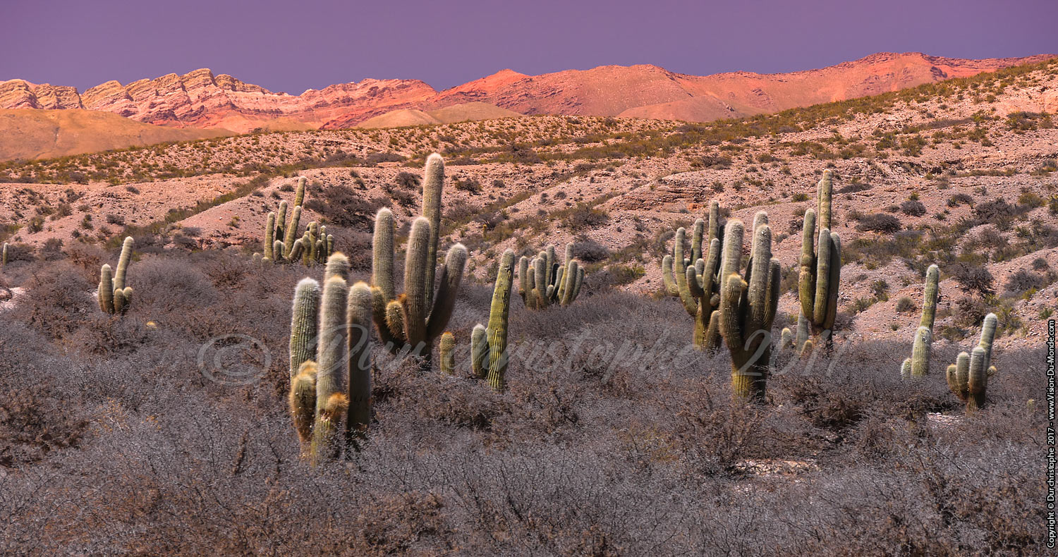 Quebrada de Humahuaca