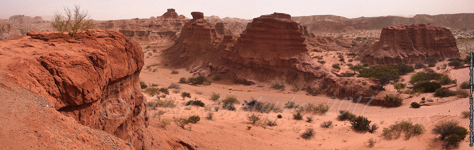 Vallée de las Conchas