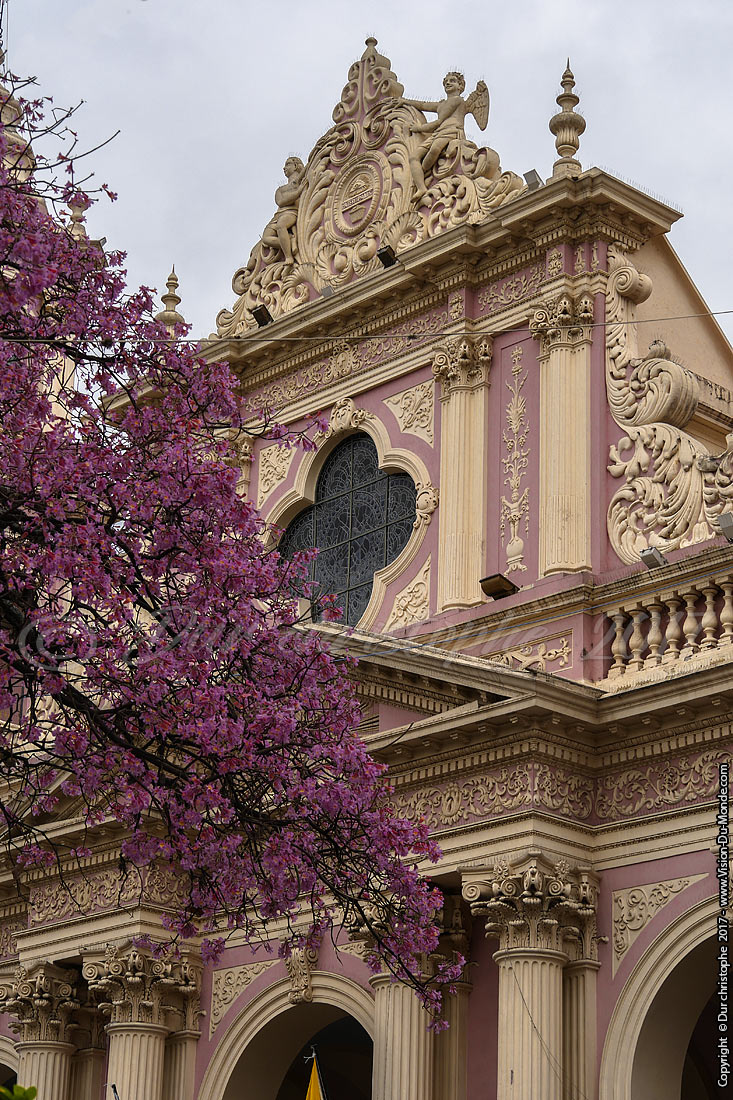 Salta