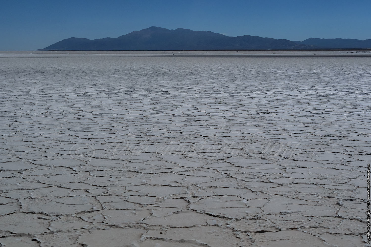 Salar