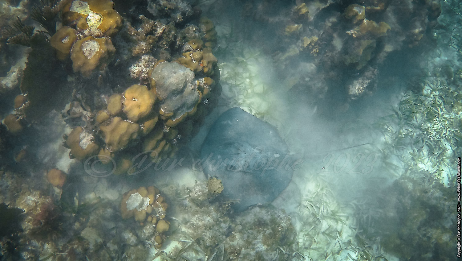 île de Caye Caulker -Belize 2023