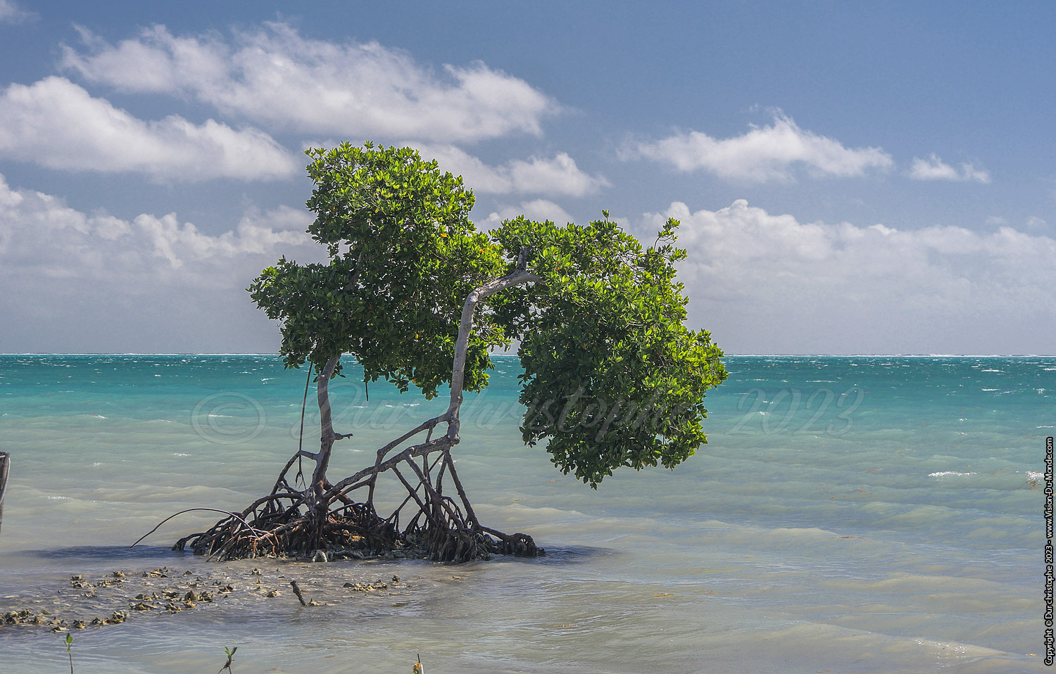 île de Caye Caulker -Belize 2023