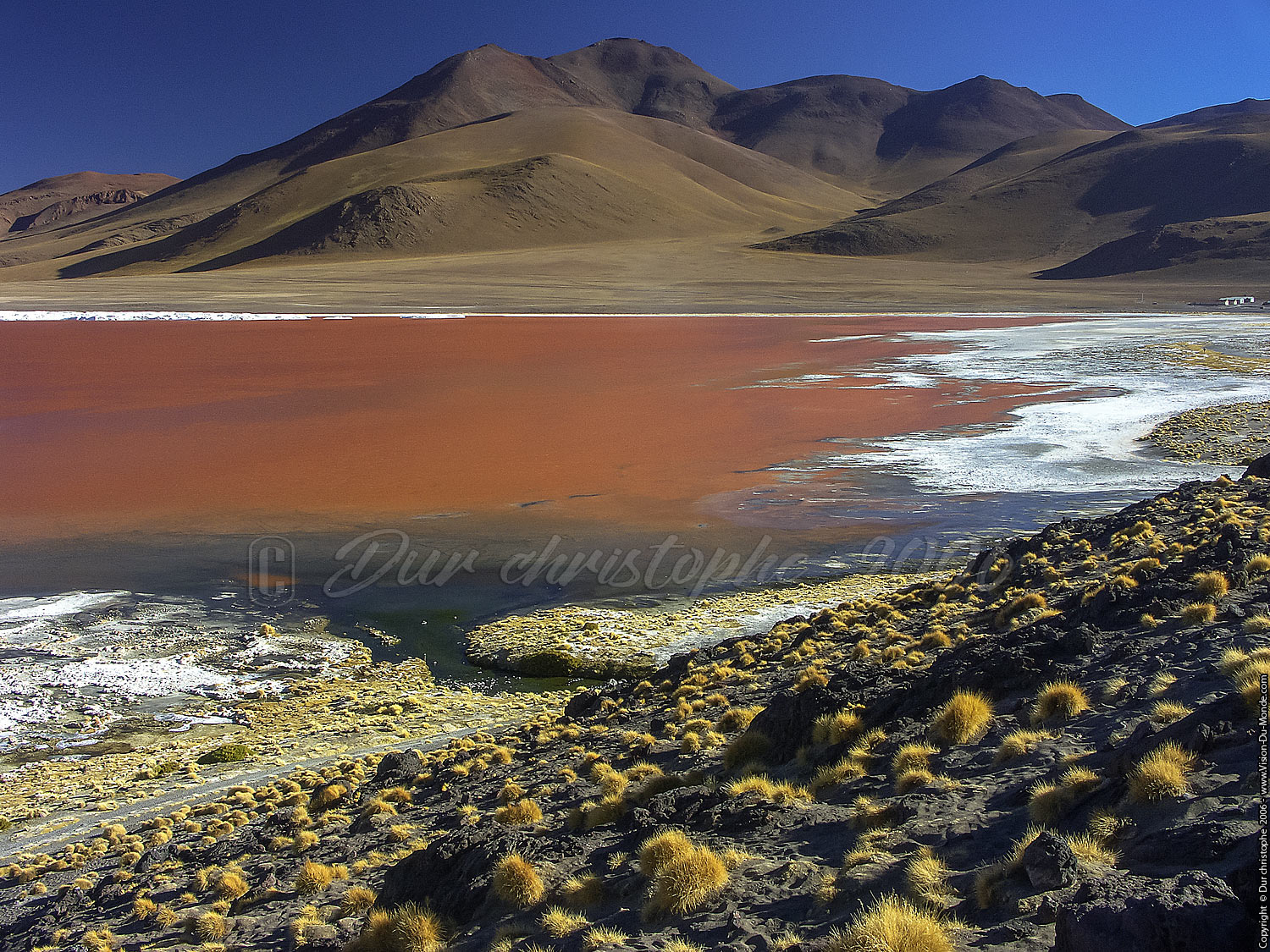 Laguna Colorada - 2006
