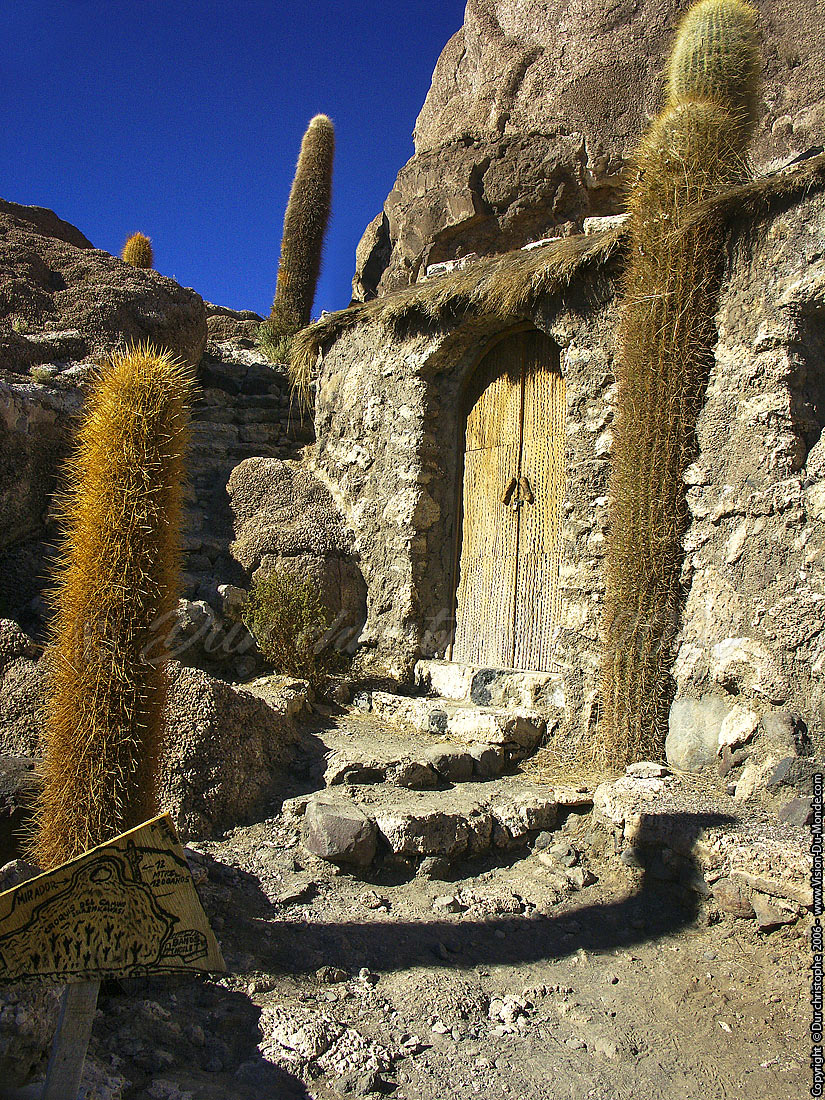 Isla del Pescado - Salar Uyuni - 2006