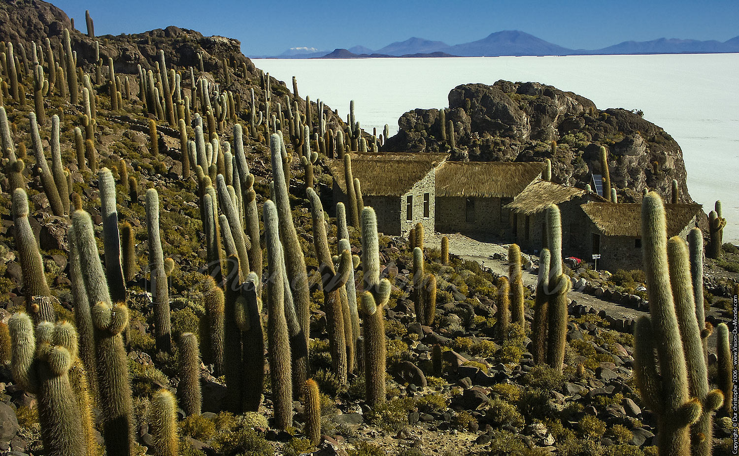 Isla del Pescado - Salar Uyuni - 2006