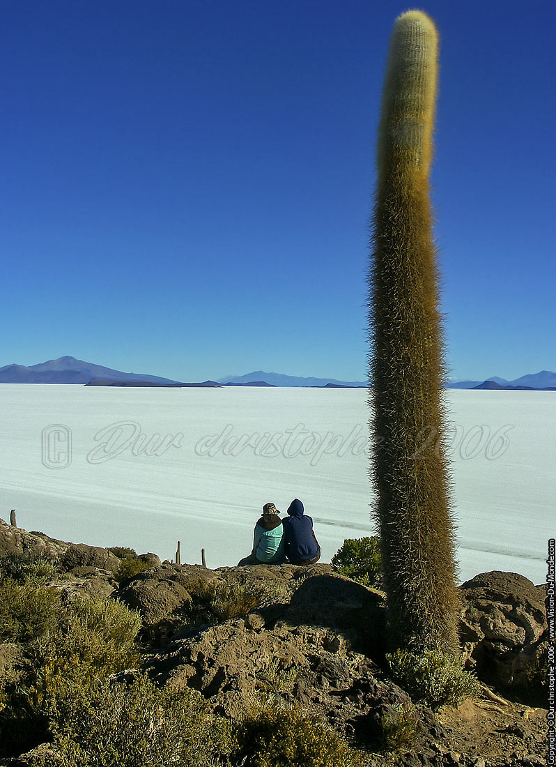 Isla del Pescado - Salar Uyuni - 2006