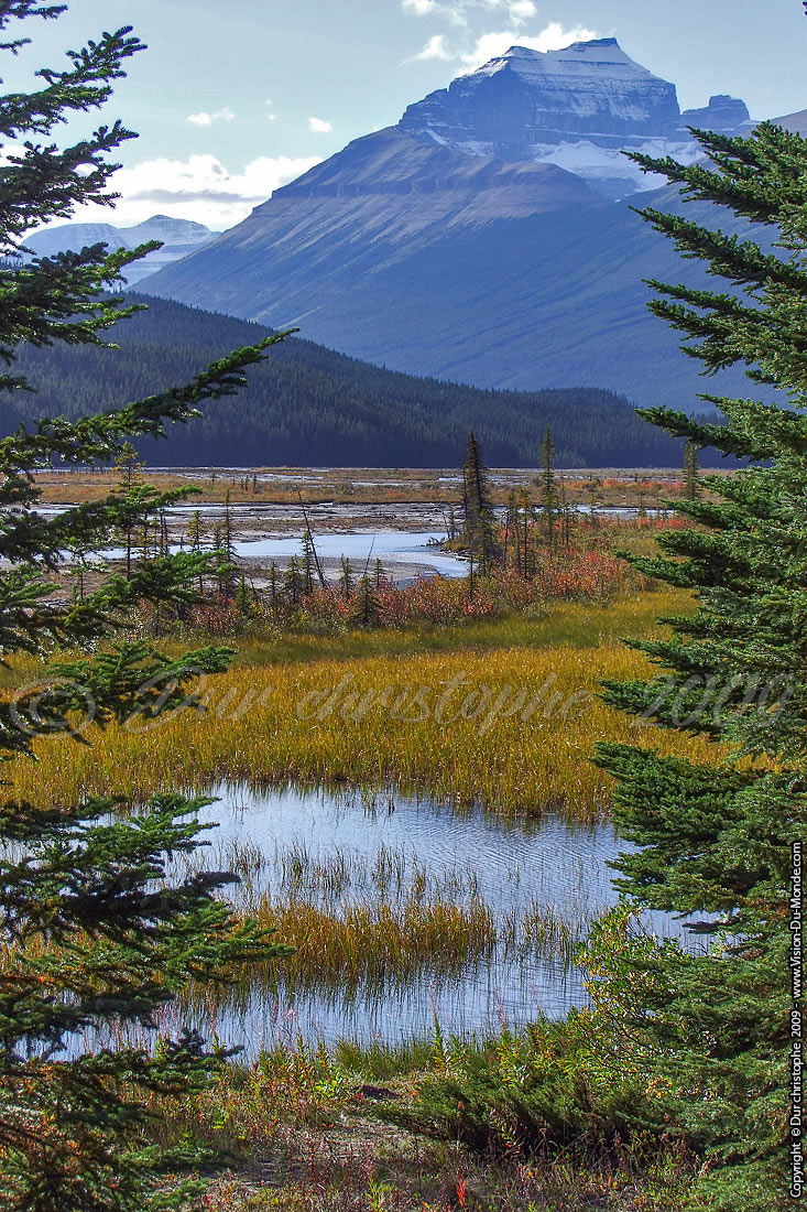 Jasper National Parc - 2009