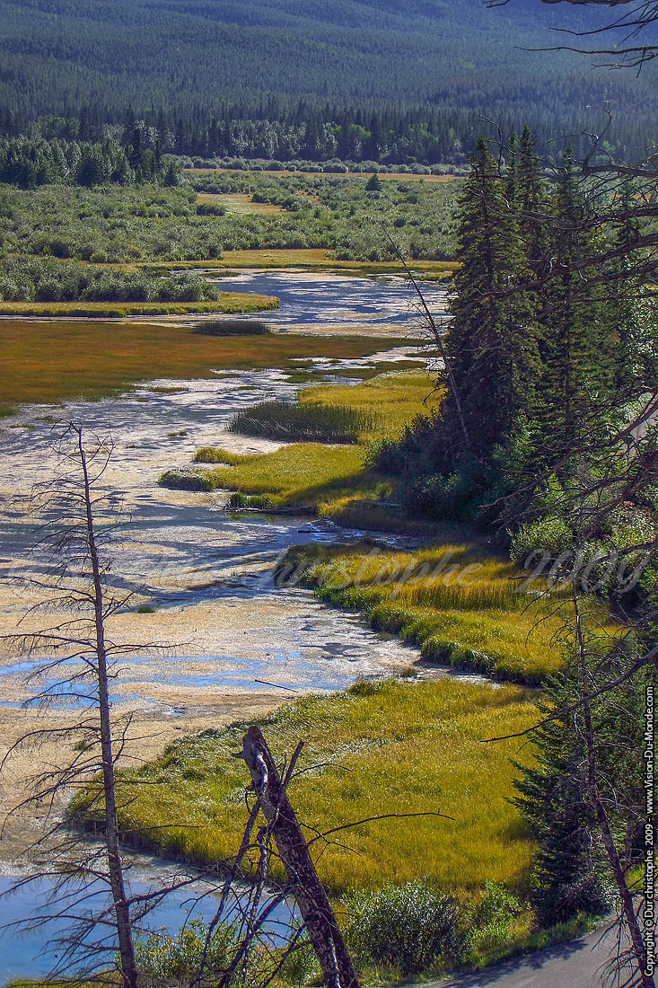 Jasper National Parc - 2009