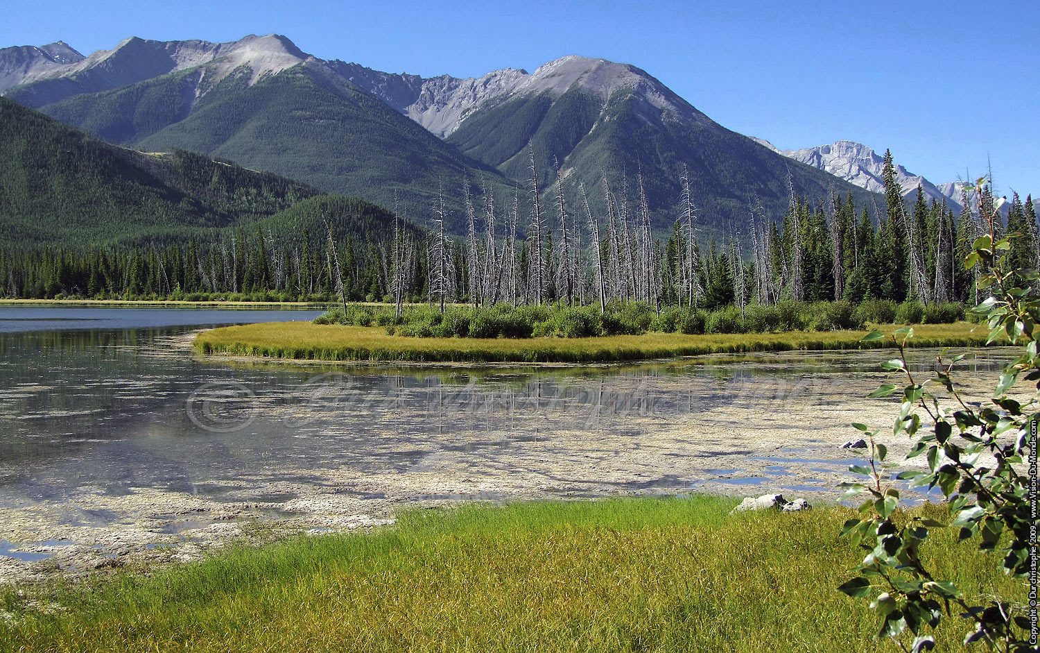 Jasper National Parc - 2009