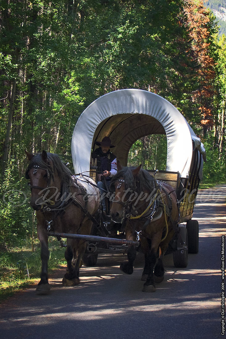 Jasper National Parc - 2009