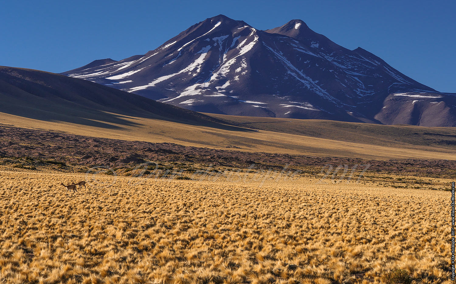 Route sud de San Pedro de Atacama