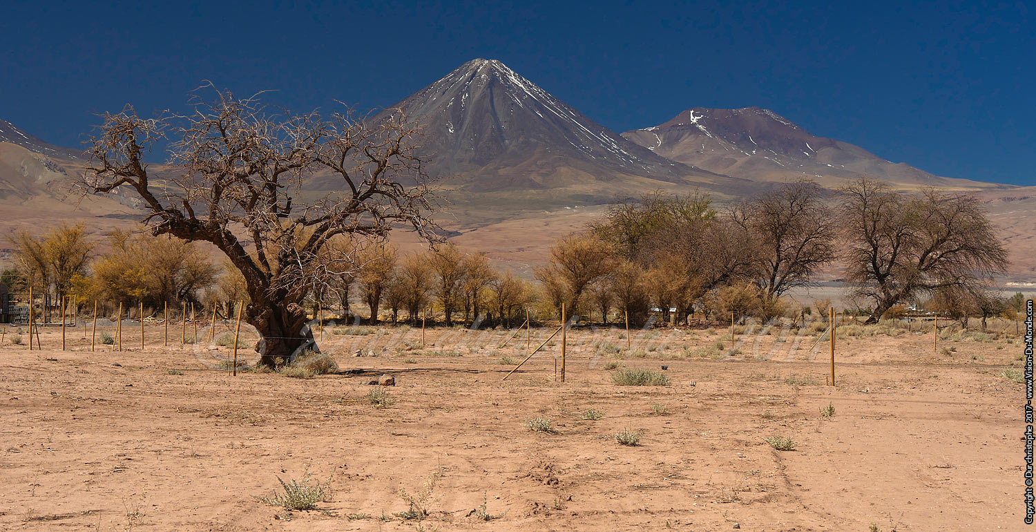 San Pedro de Atacama