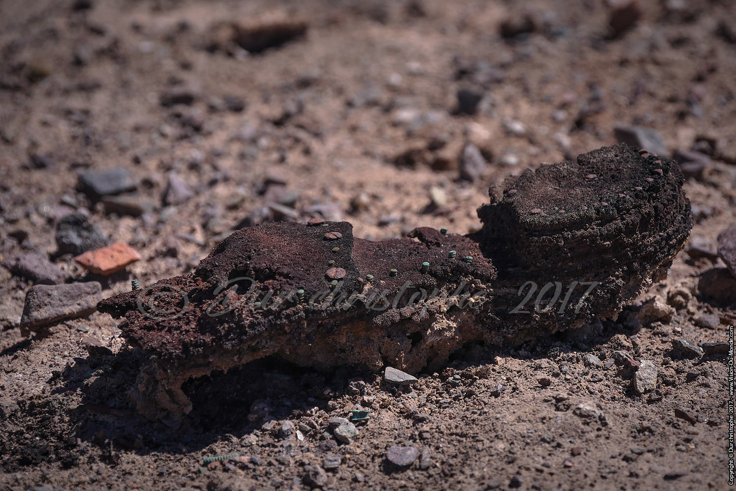 La chaussure fossilisée.