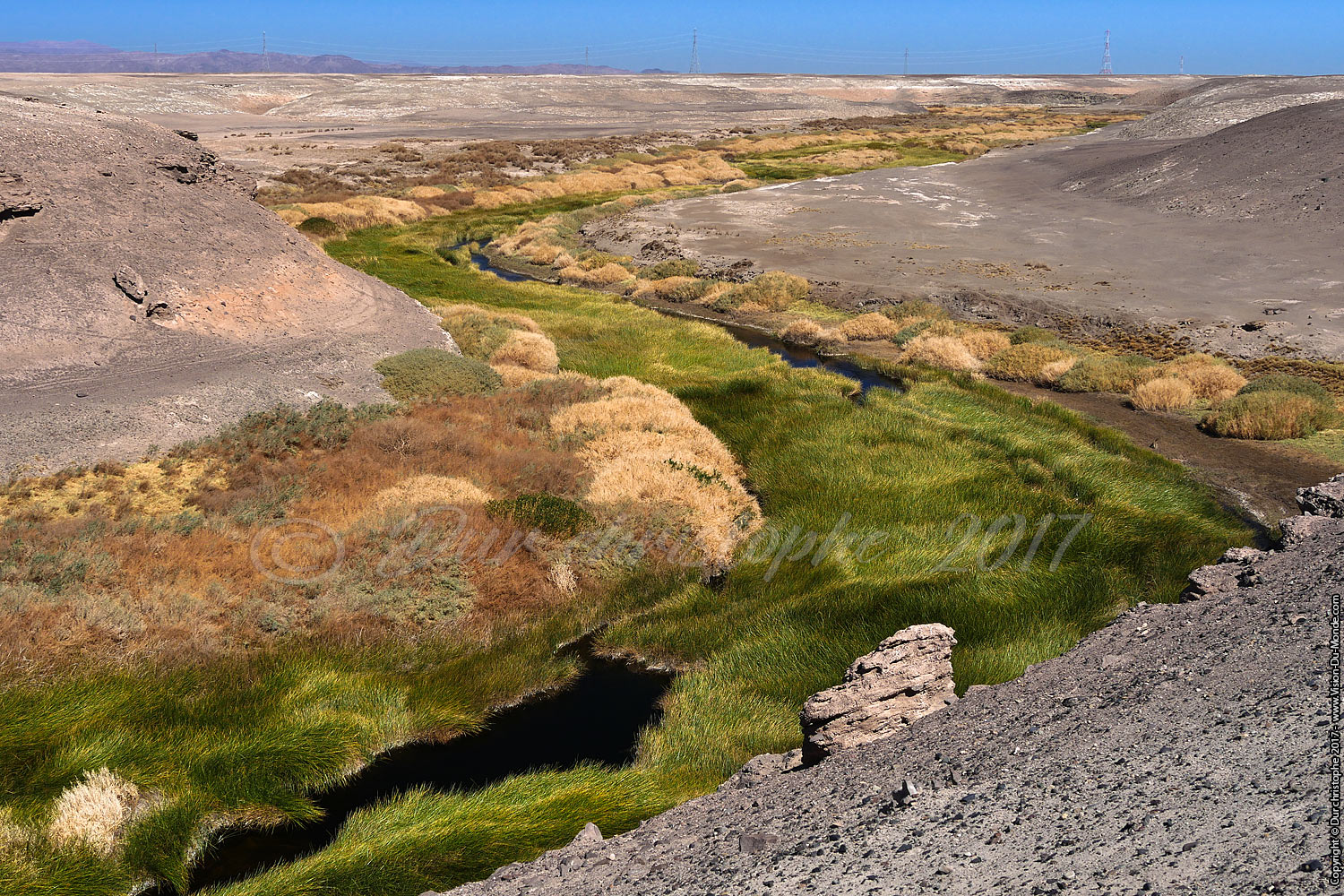 la rivière source de vie - Désert d'Atacama