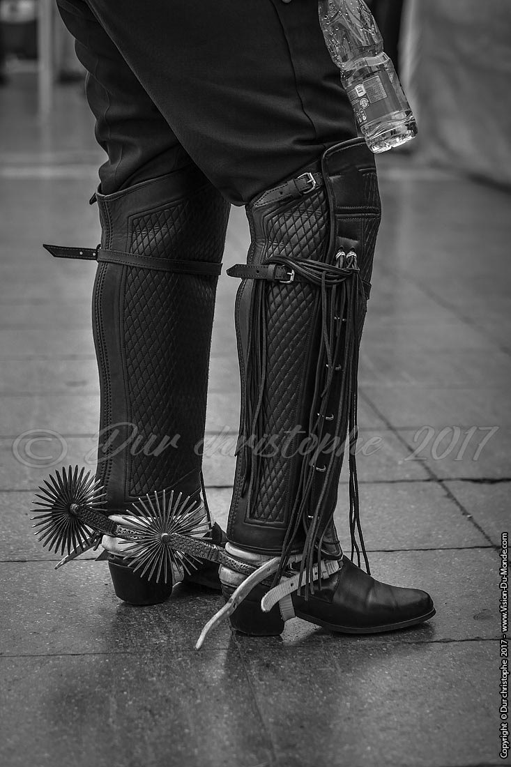 Bottes de Chilien - Arica