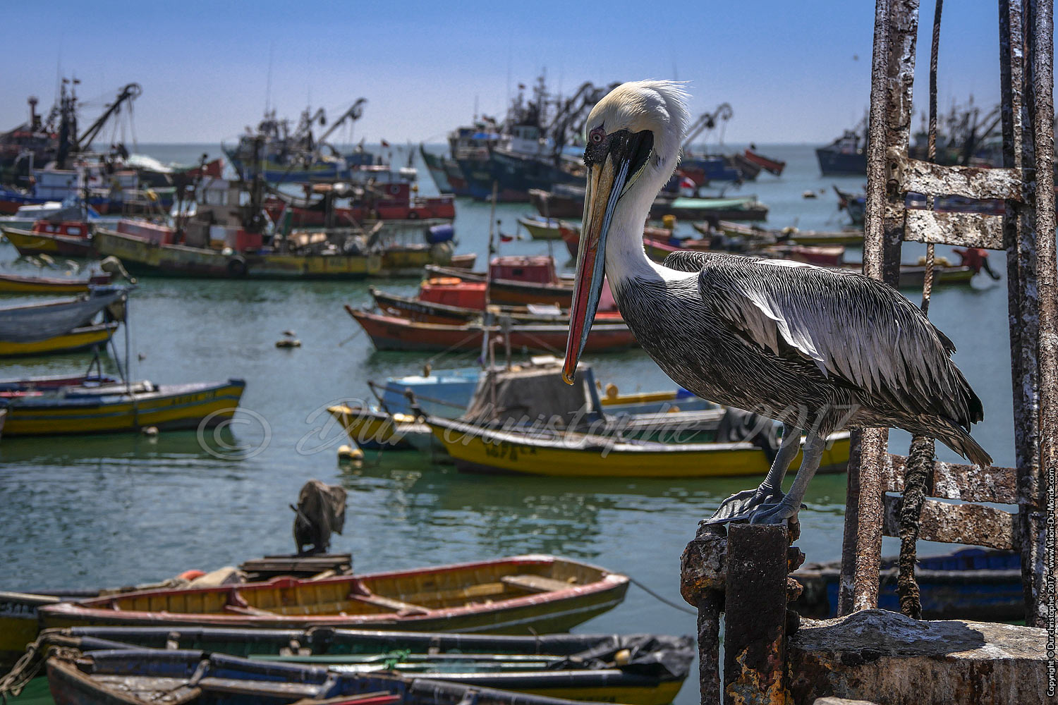 Port de pêche - Arica