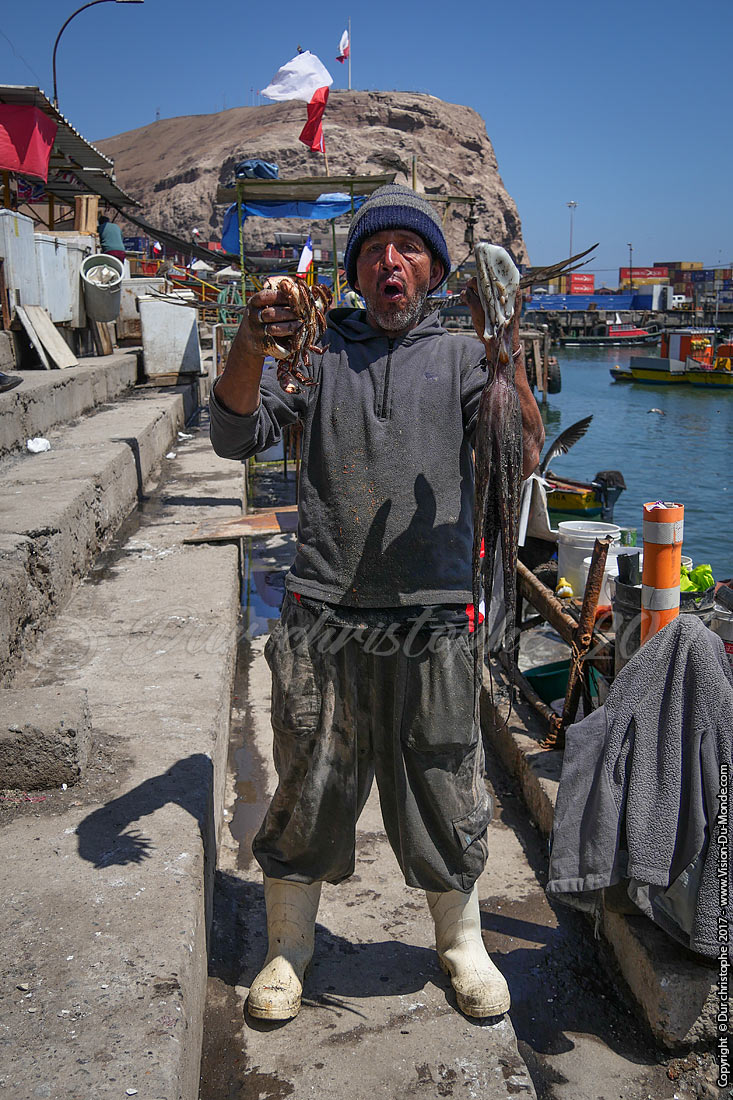 Port de pêche - Arica