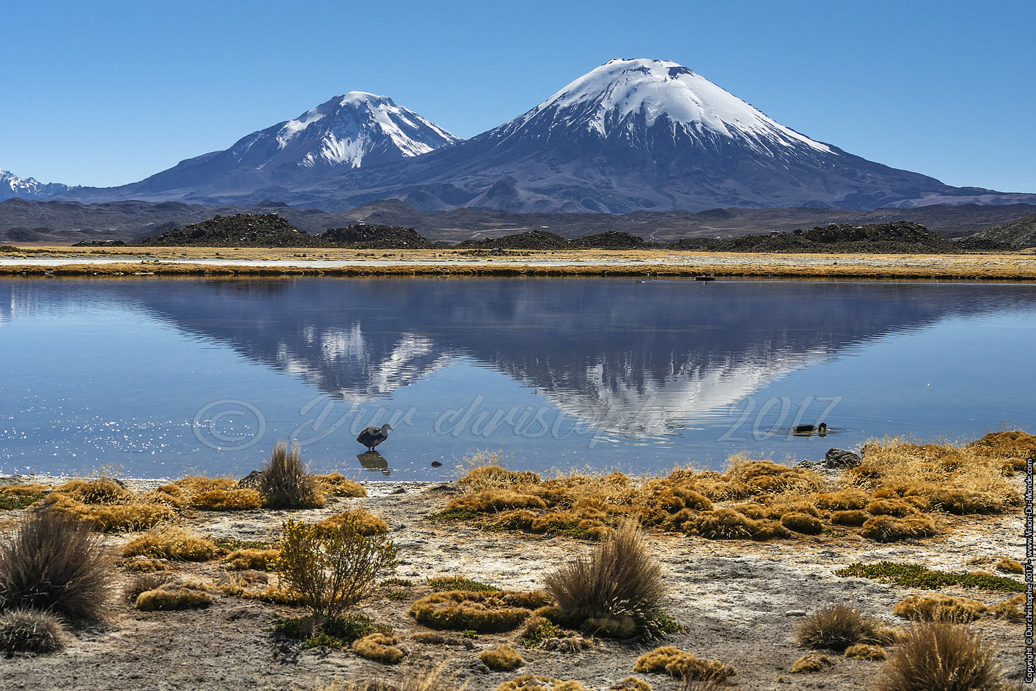 Parc National Lauca