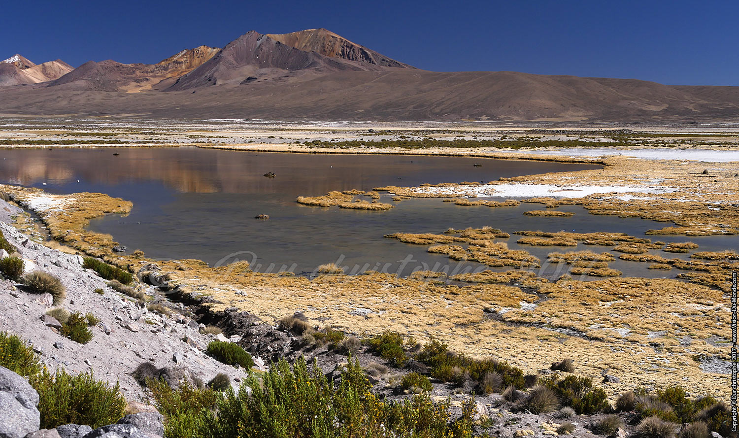 Parc National Lauca