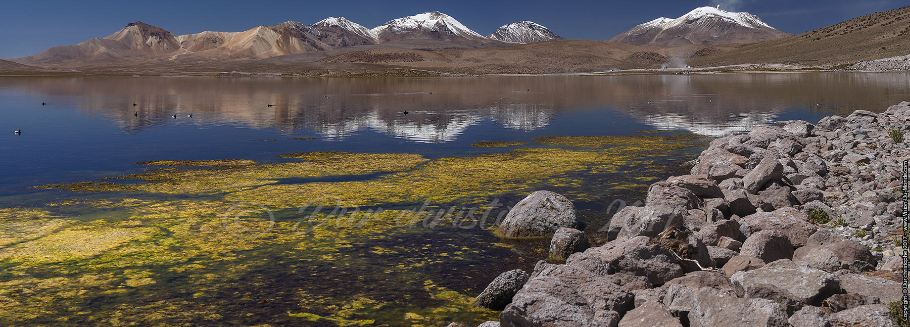 Parc National Lauca