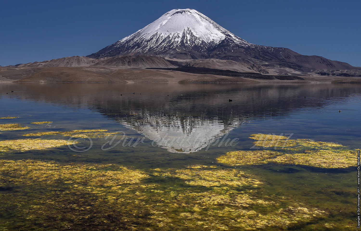 Parc National Lauca