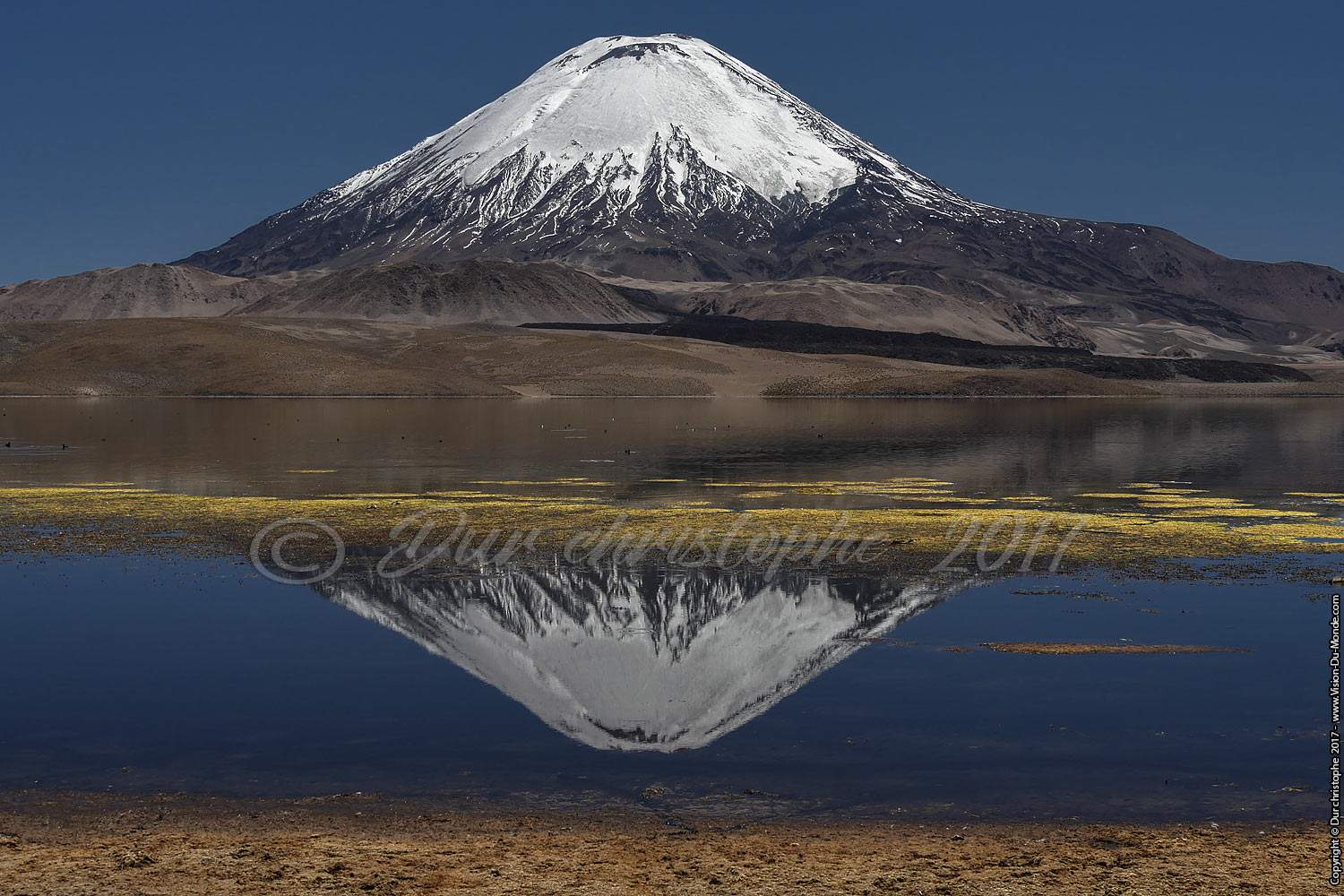 Parc National Lauca