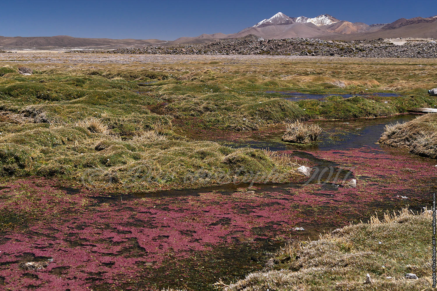 Parc National Lauca