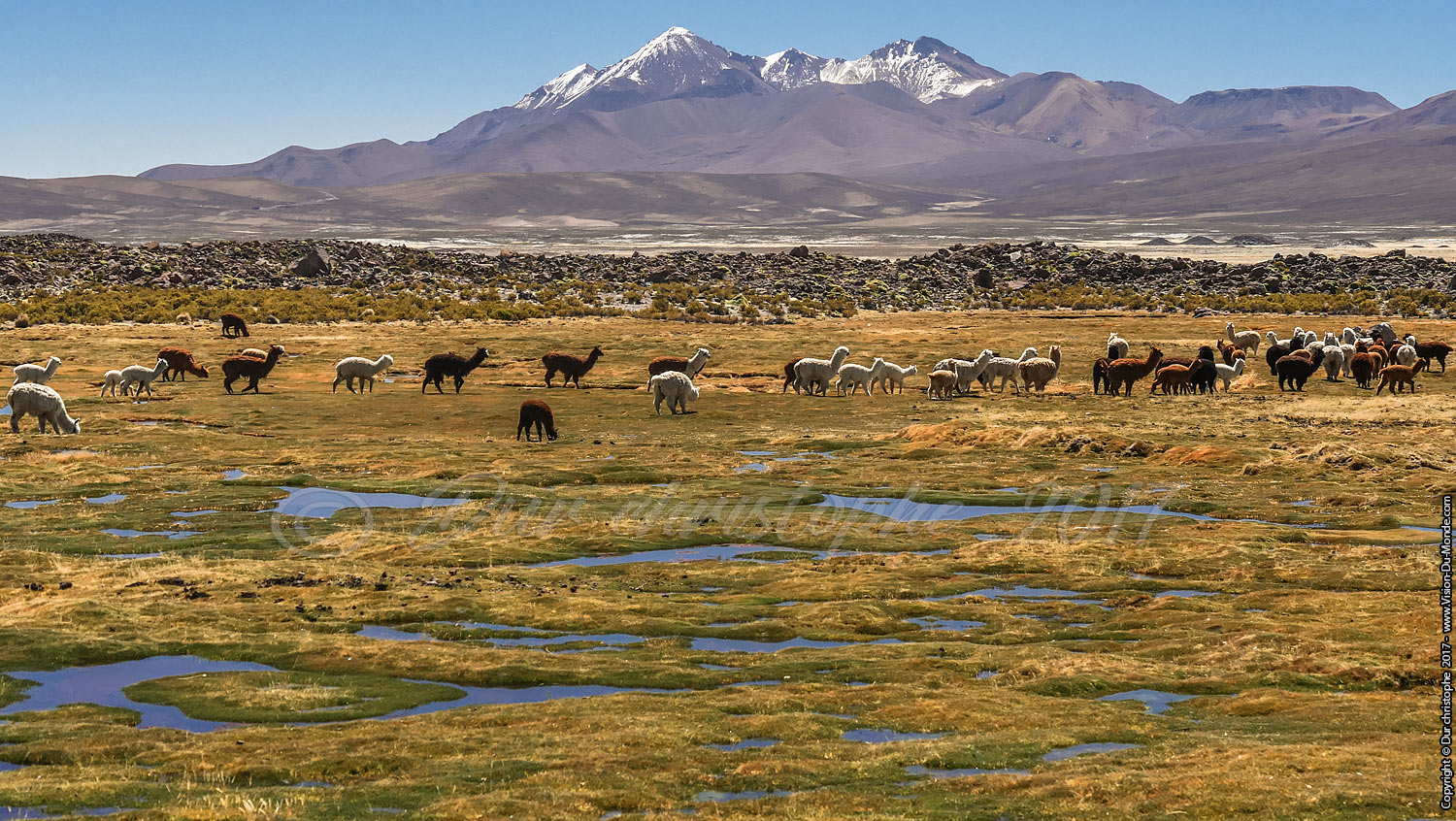 Parc National Lauca
