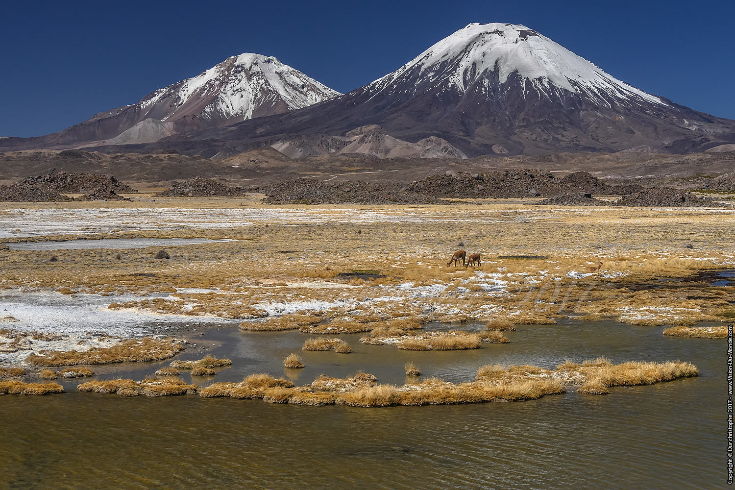 Parc National Lauca