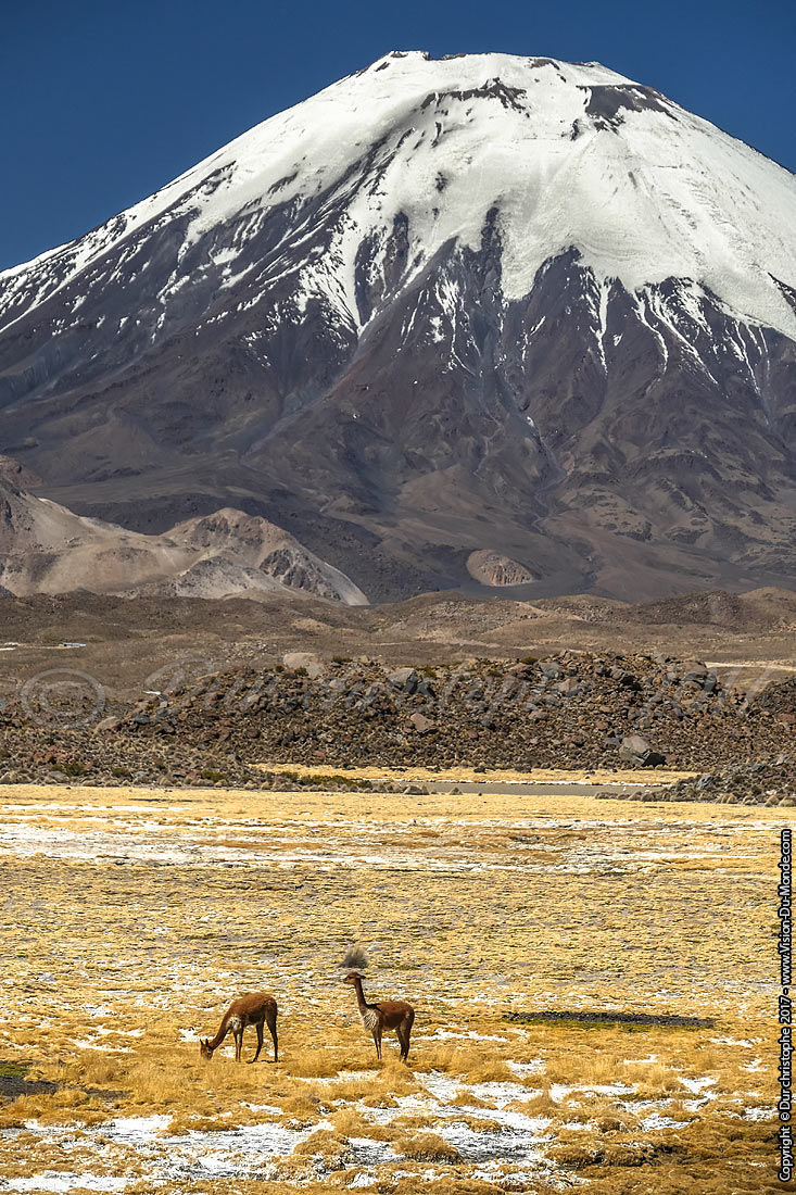 Parc National Lauca