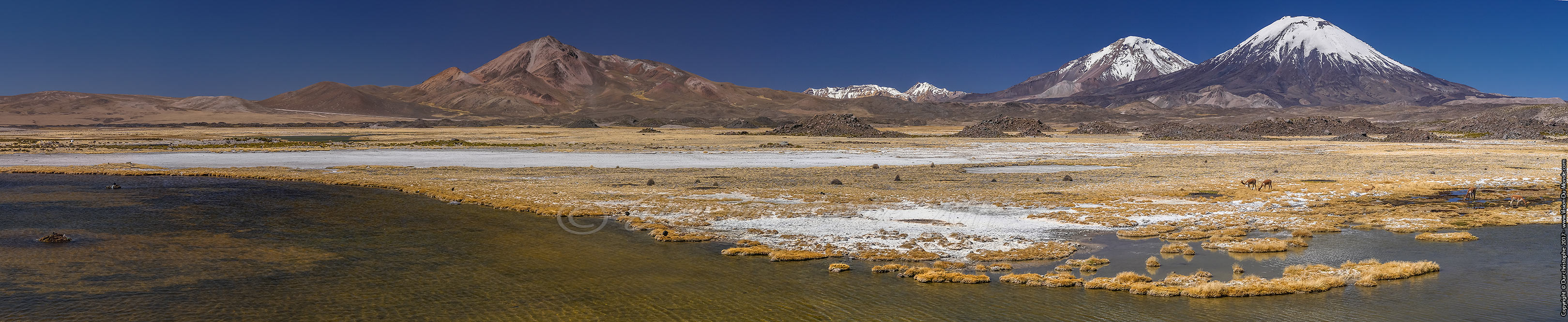 Parc National Lauca