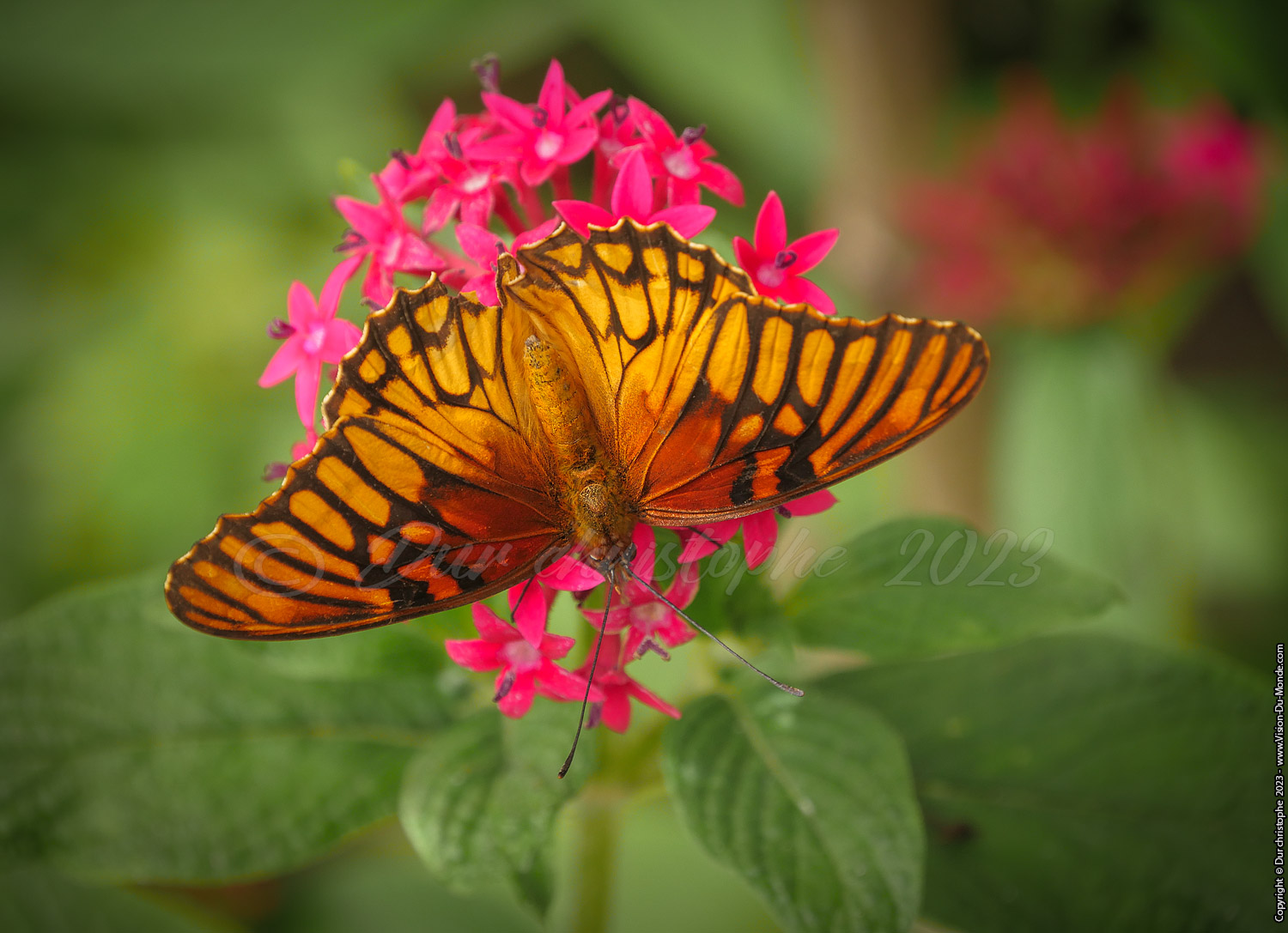 Reserve Lac Atitlan