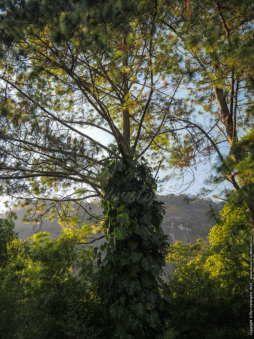 Reserve Lac Atitlan