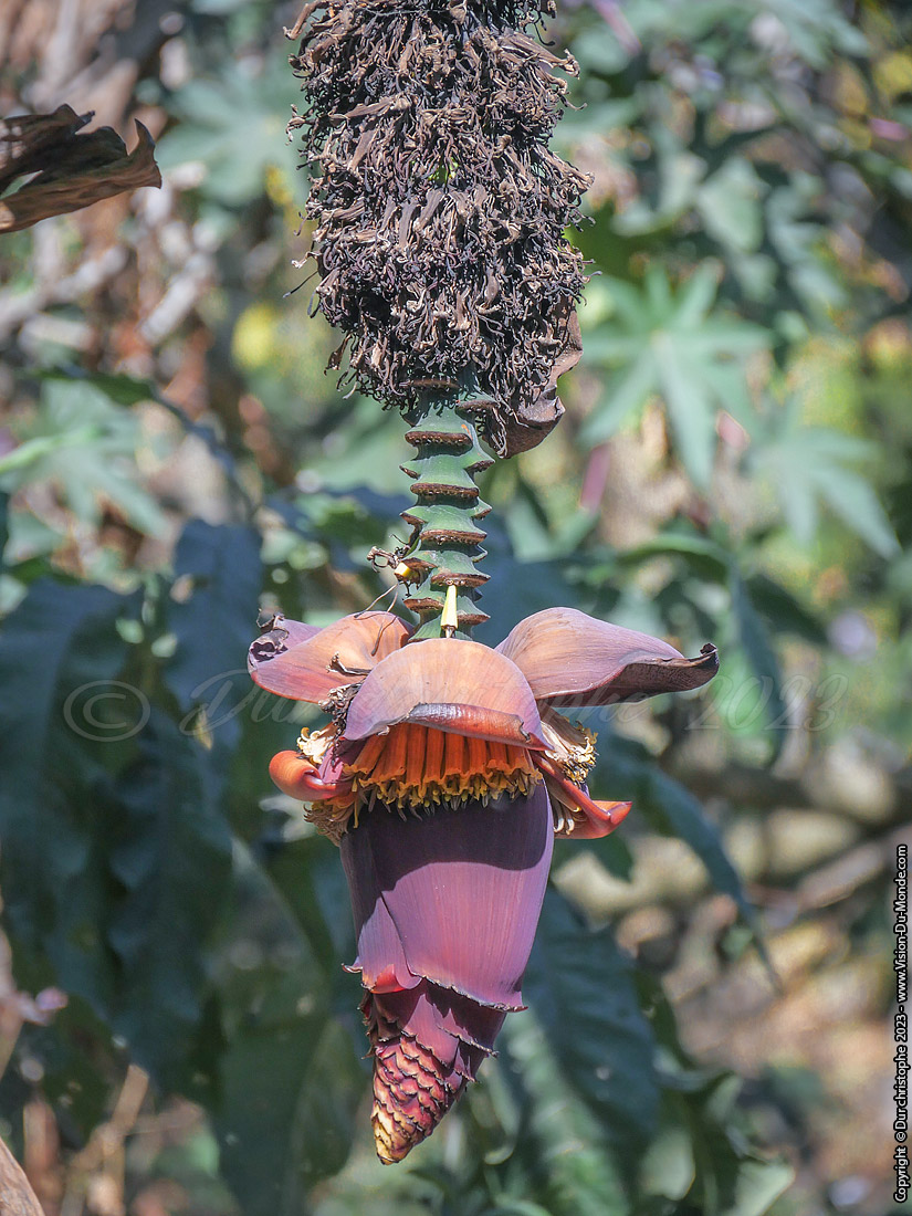San Juan  - Lac Atitlan