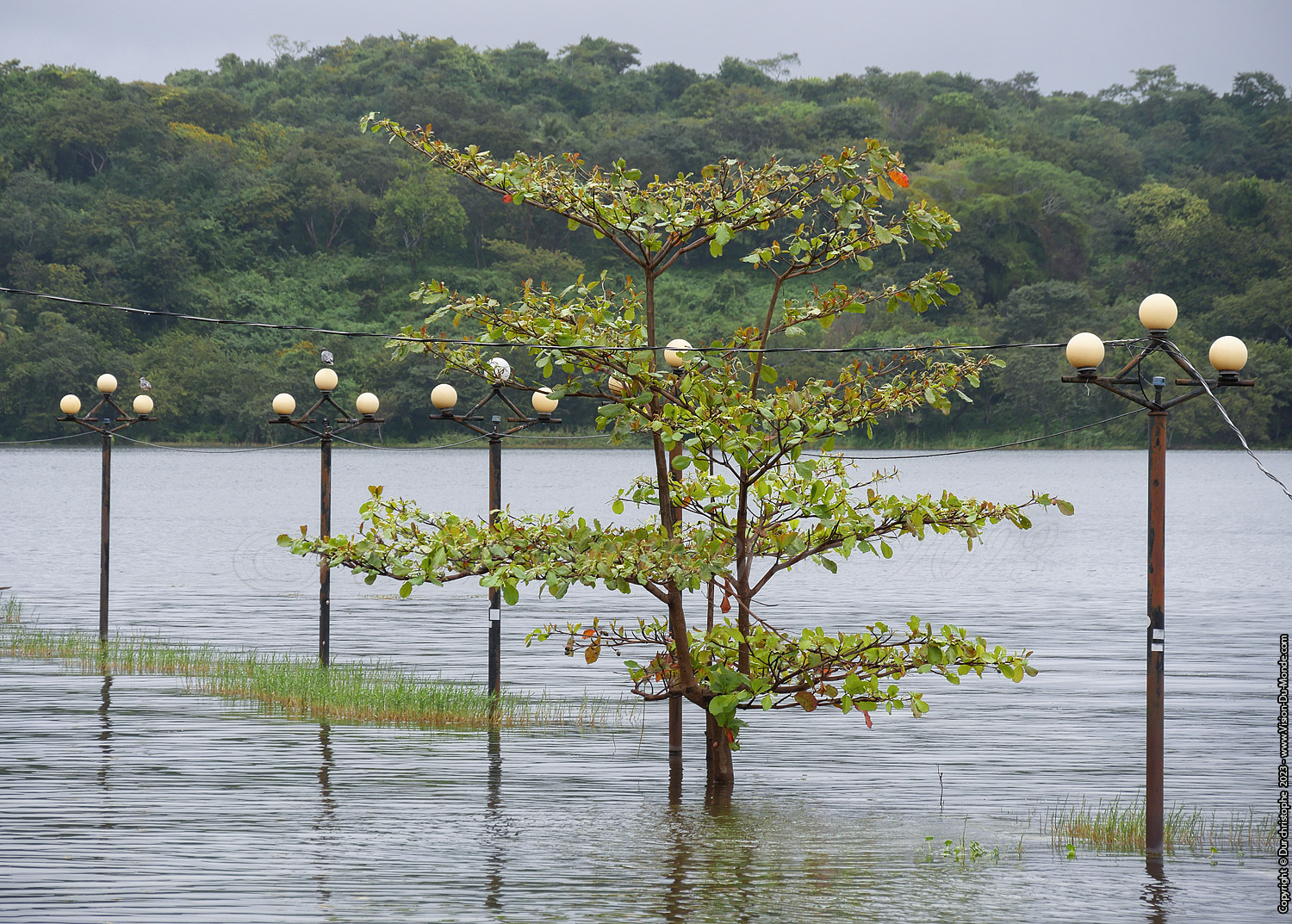 Île de Flores