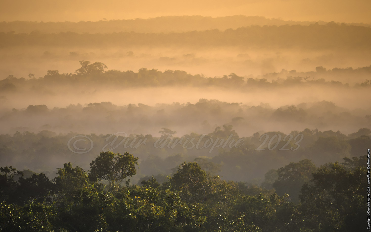 Tikal