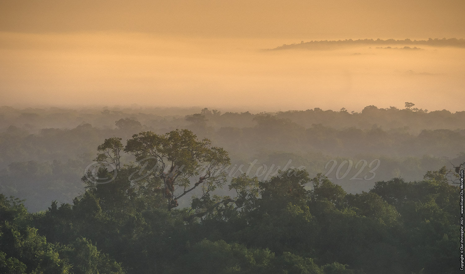 Tikal