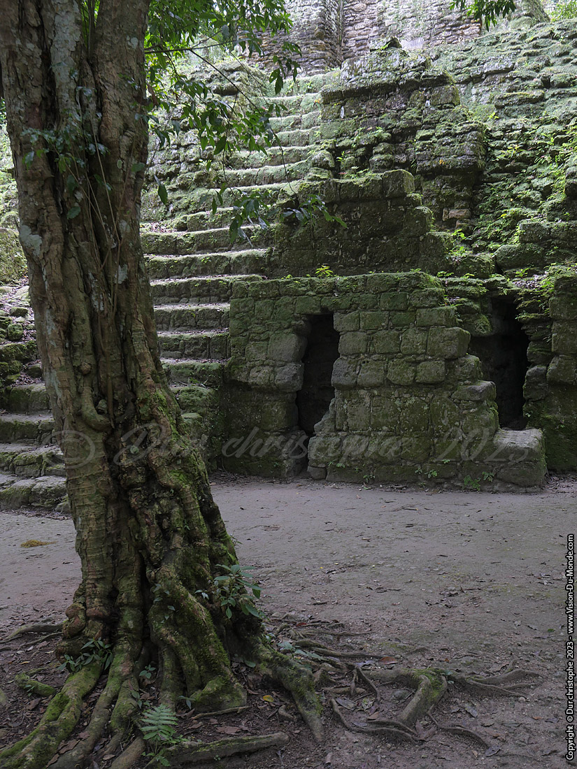 Tikal