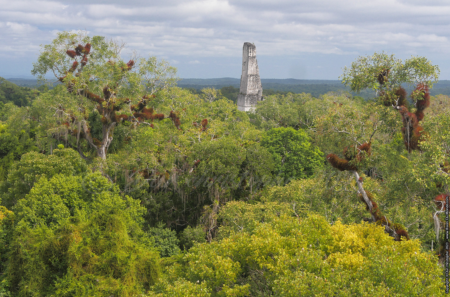 Tikal