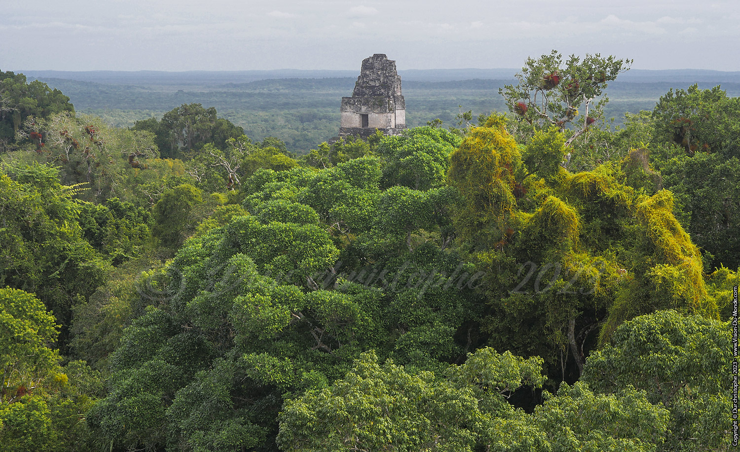 Tikal