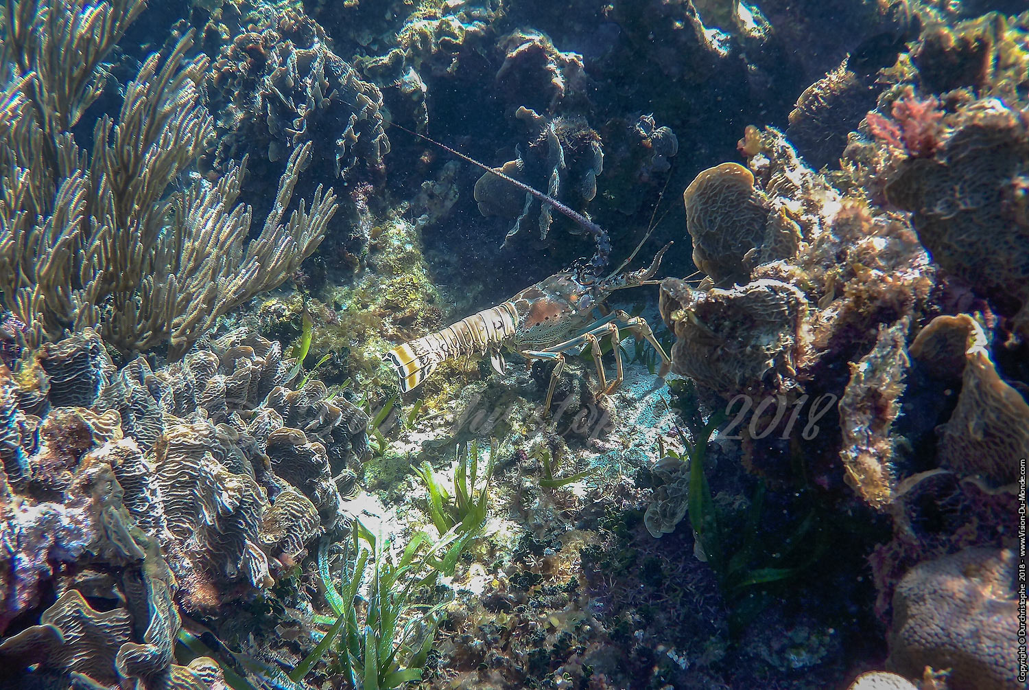 Puerto Morelos
