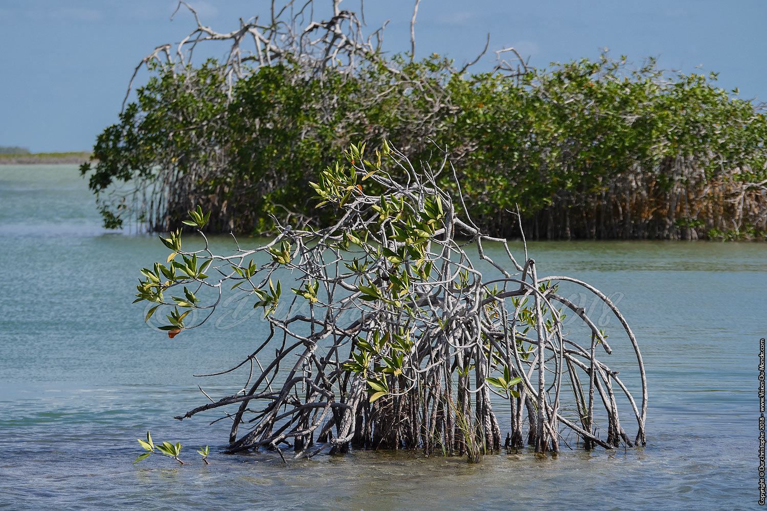 Reserve de Sian Ka'an