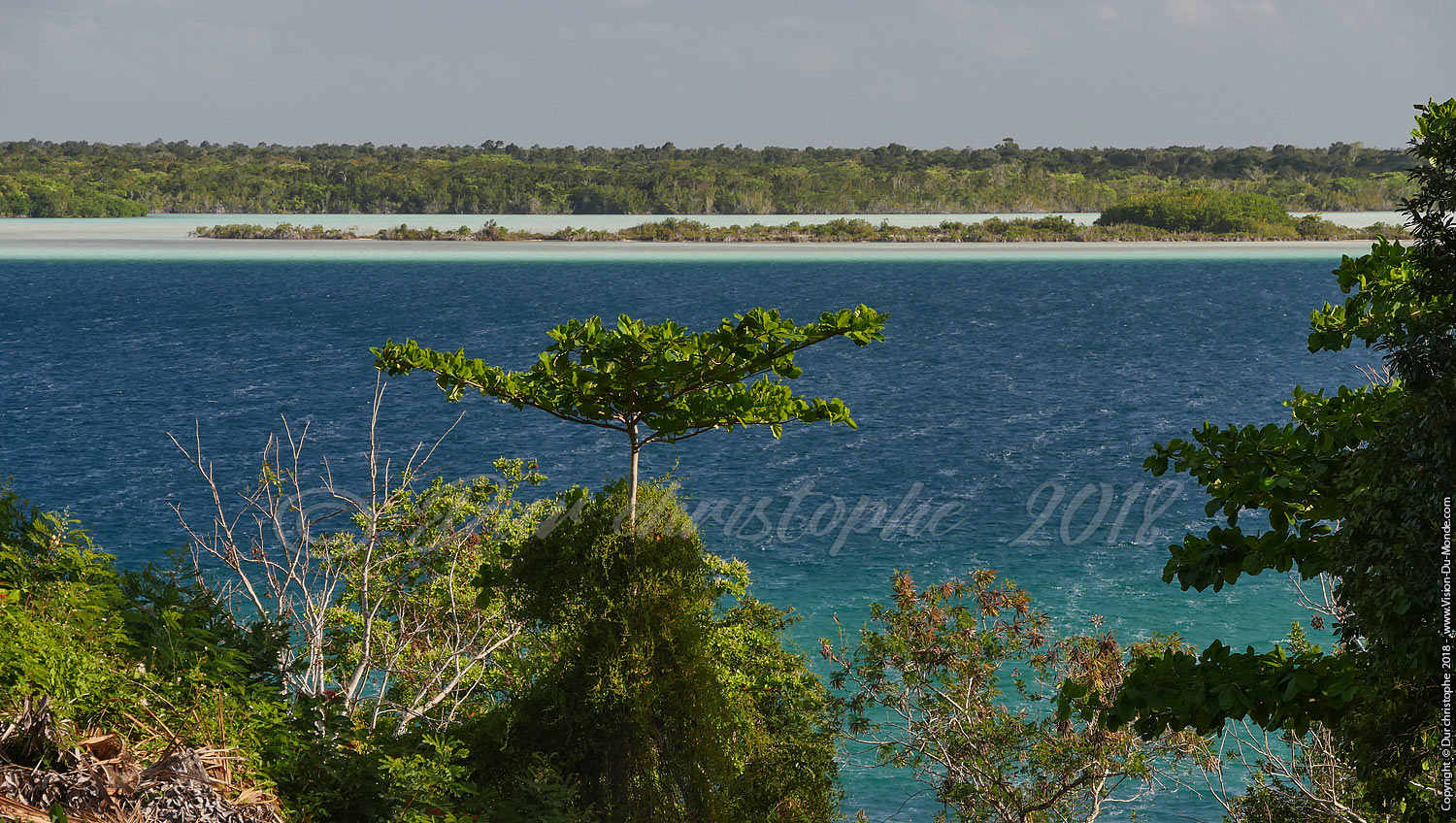 Bacalar