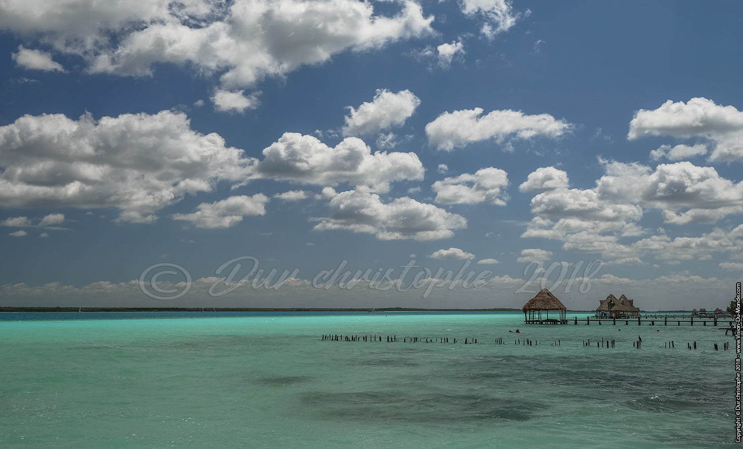 Bacalar