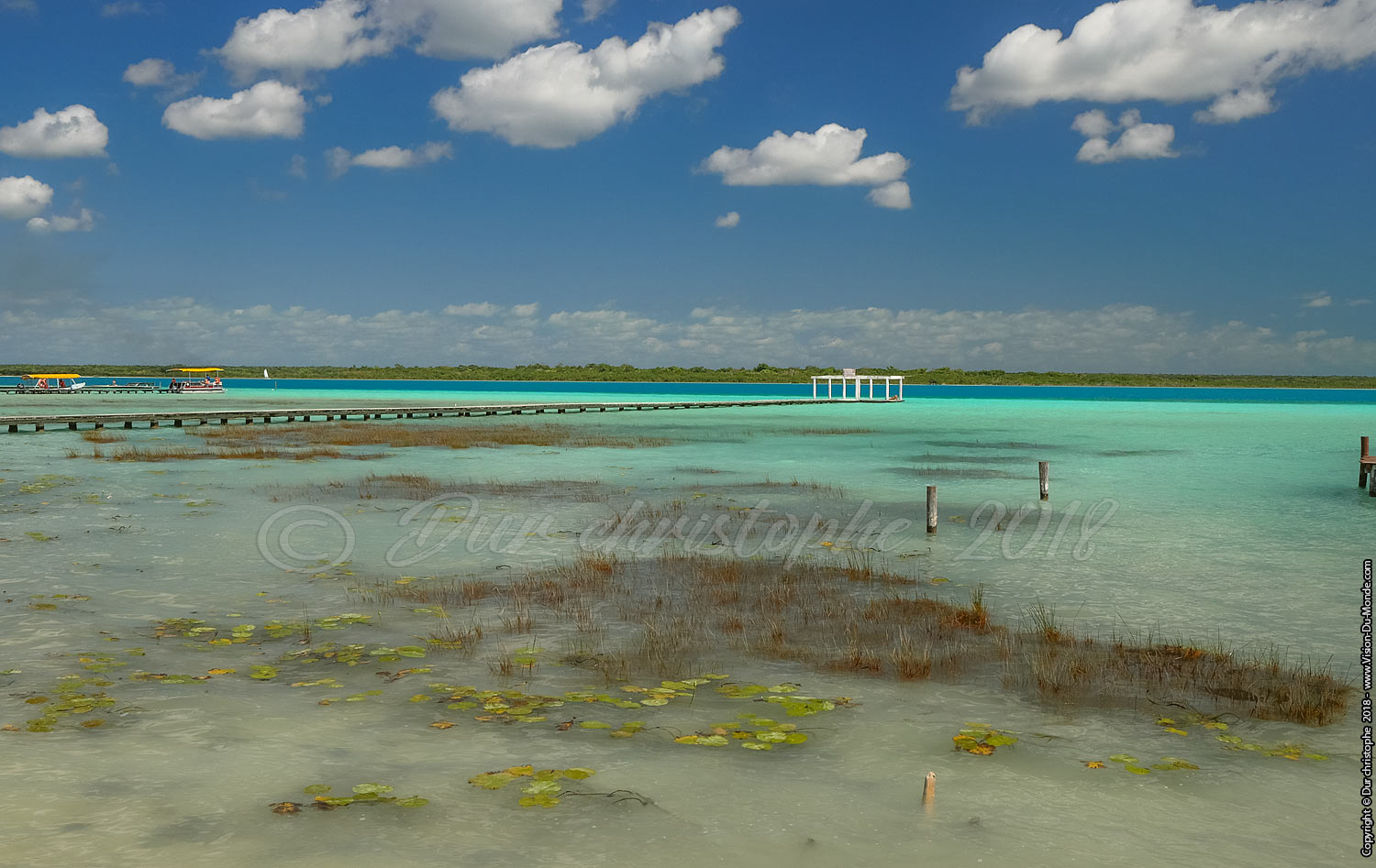 Bacalar