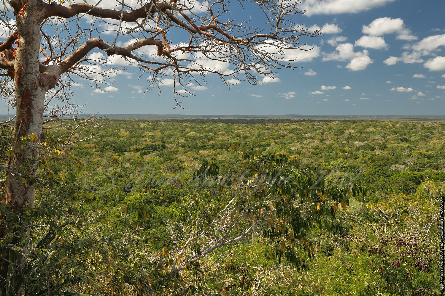 Calakmul
