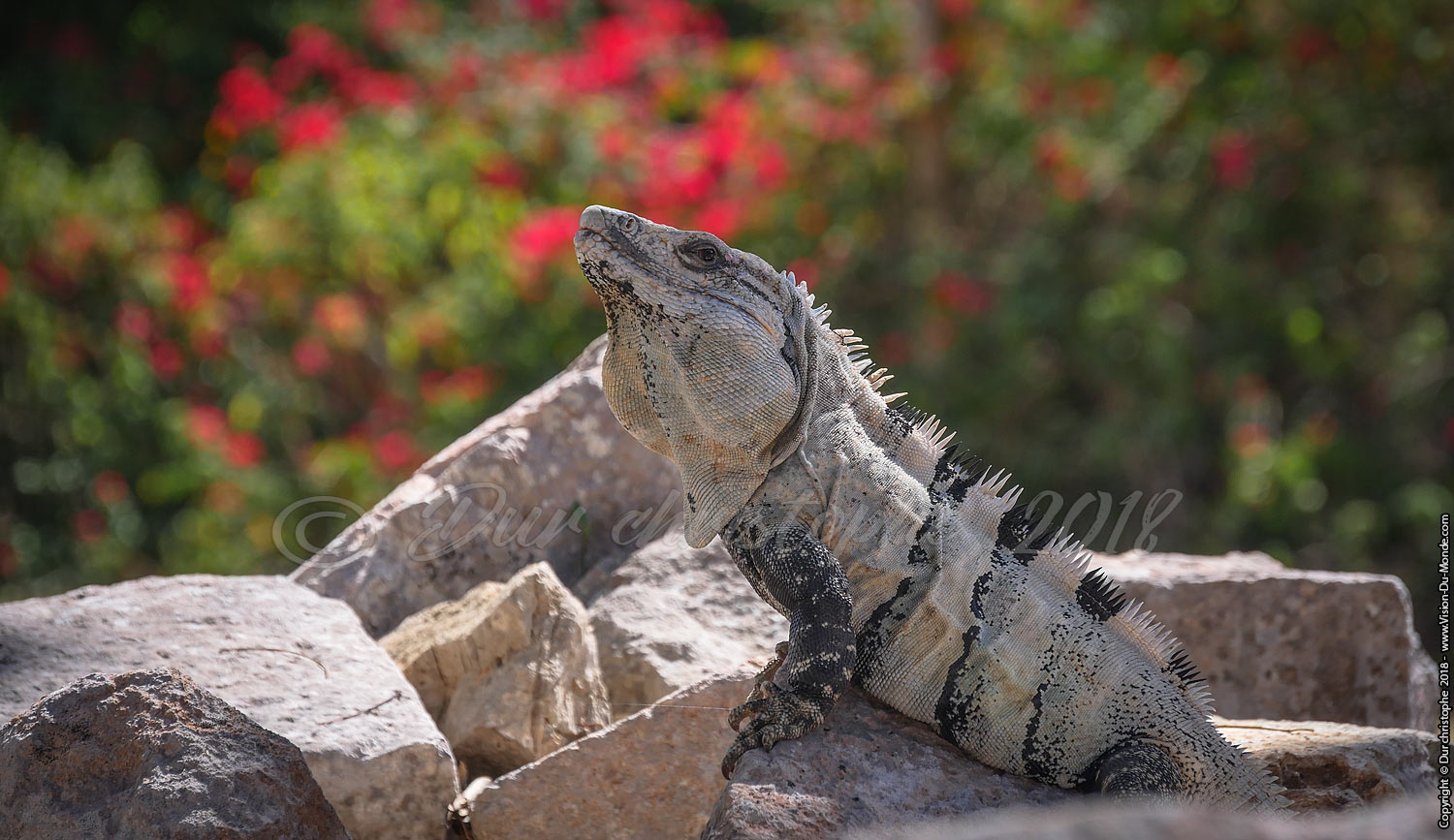 Uxmal