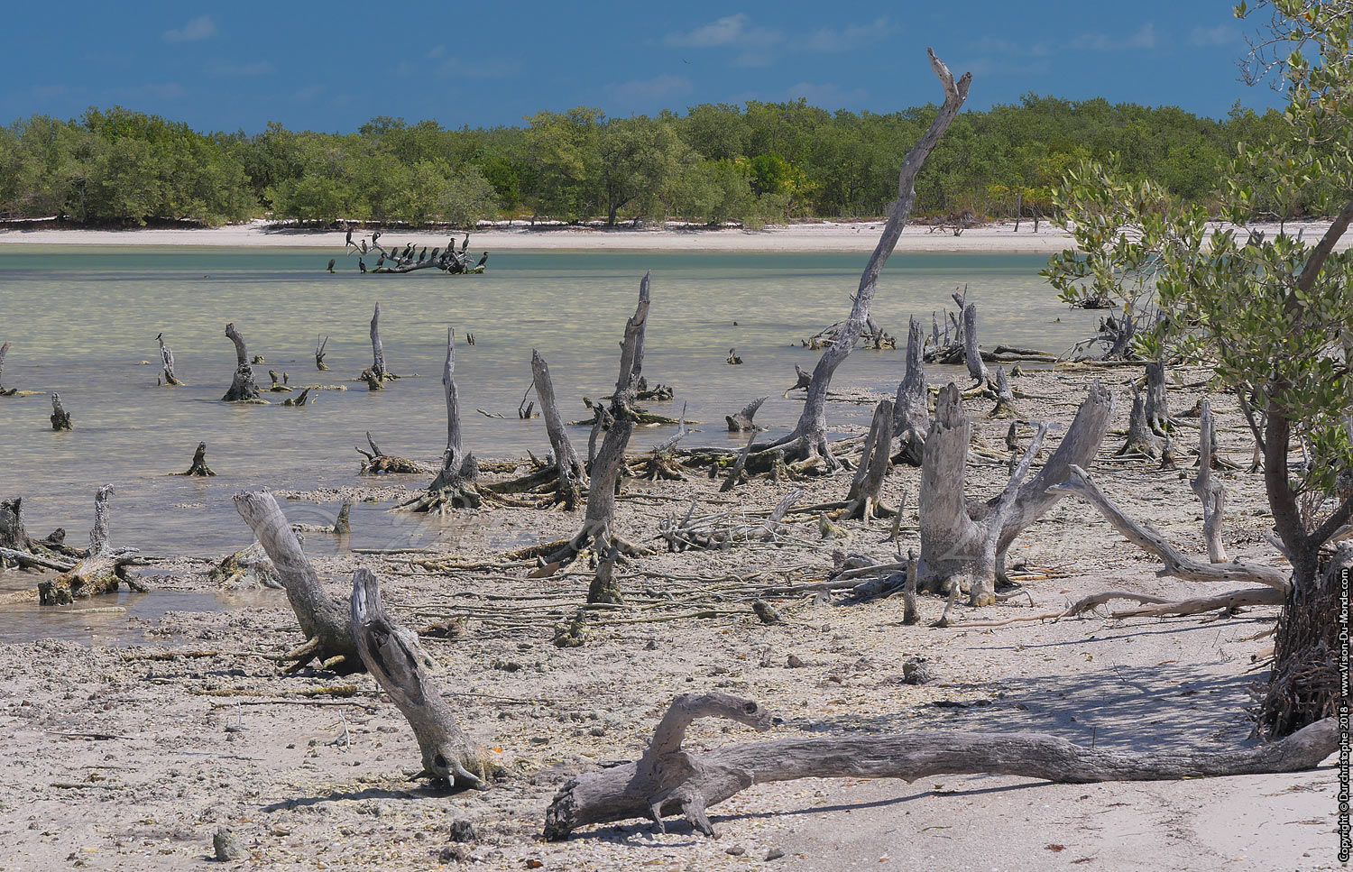 Holbox