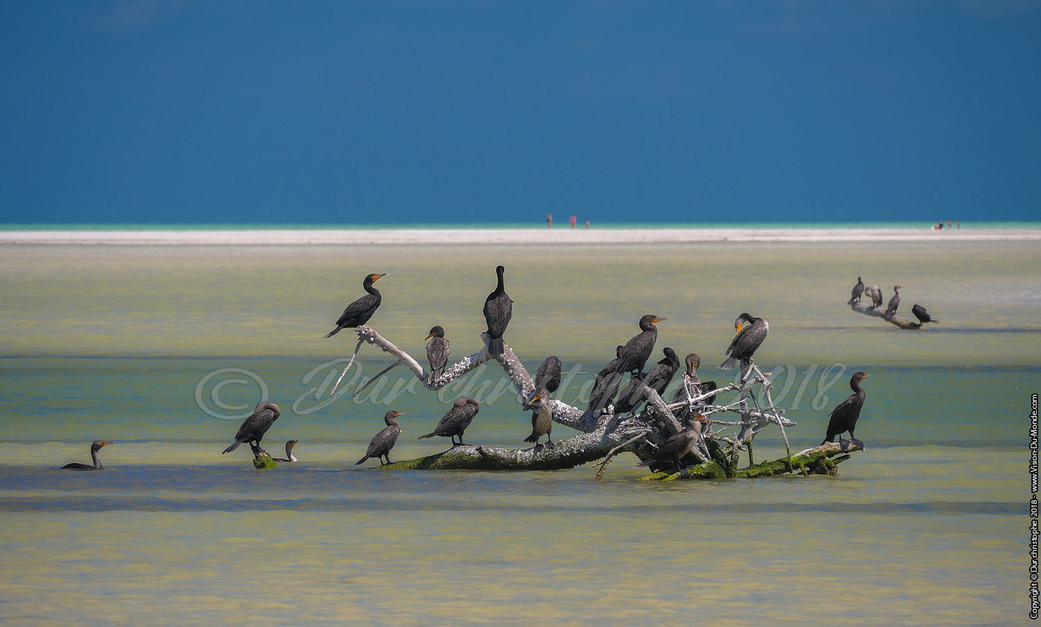 Holbox